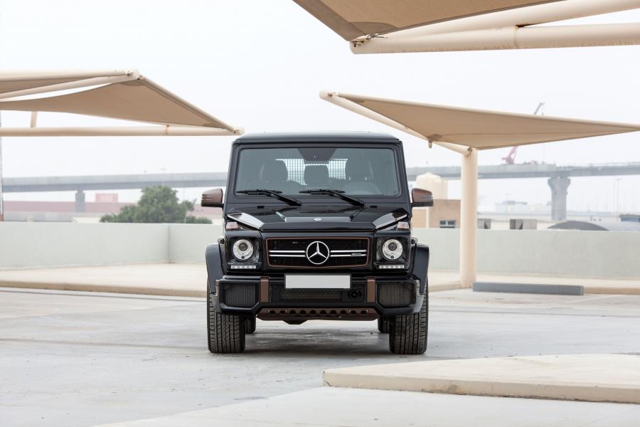  Mercedes-AMG G65 Final Edition (W463) 2018 года  (WW) (фото 26 из 27)